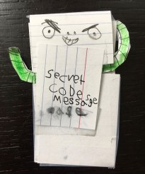 Secret Code Message case